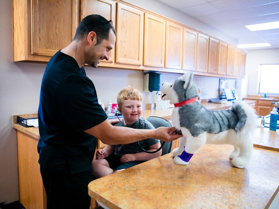 Best Veterinary Hospital In Fort Smith, AR Arkansas Veterinary Clinic